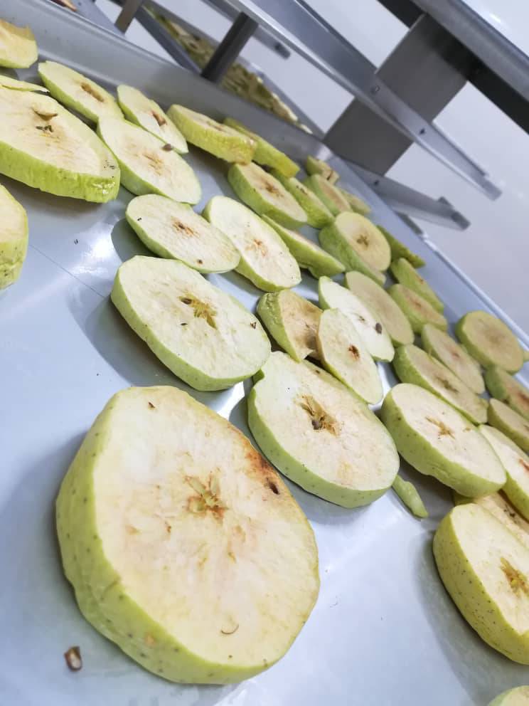 میوه خشک به روش غیرحرارتی