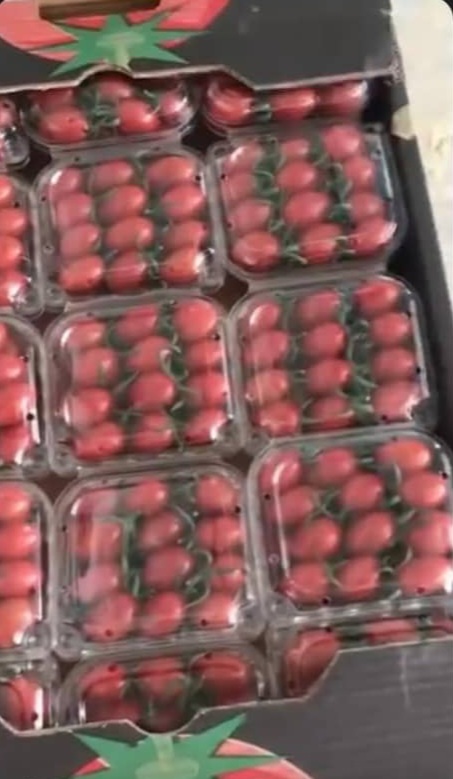 Export cherry tomato