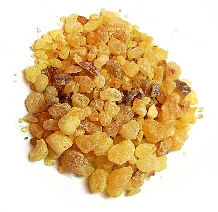 گیاهان دارویی