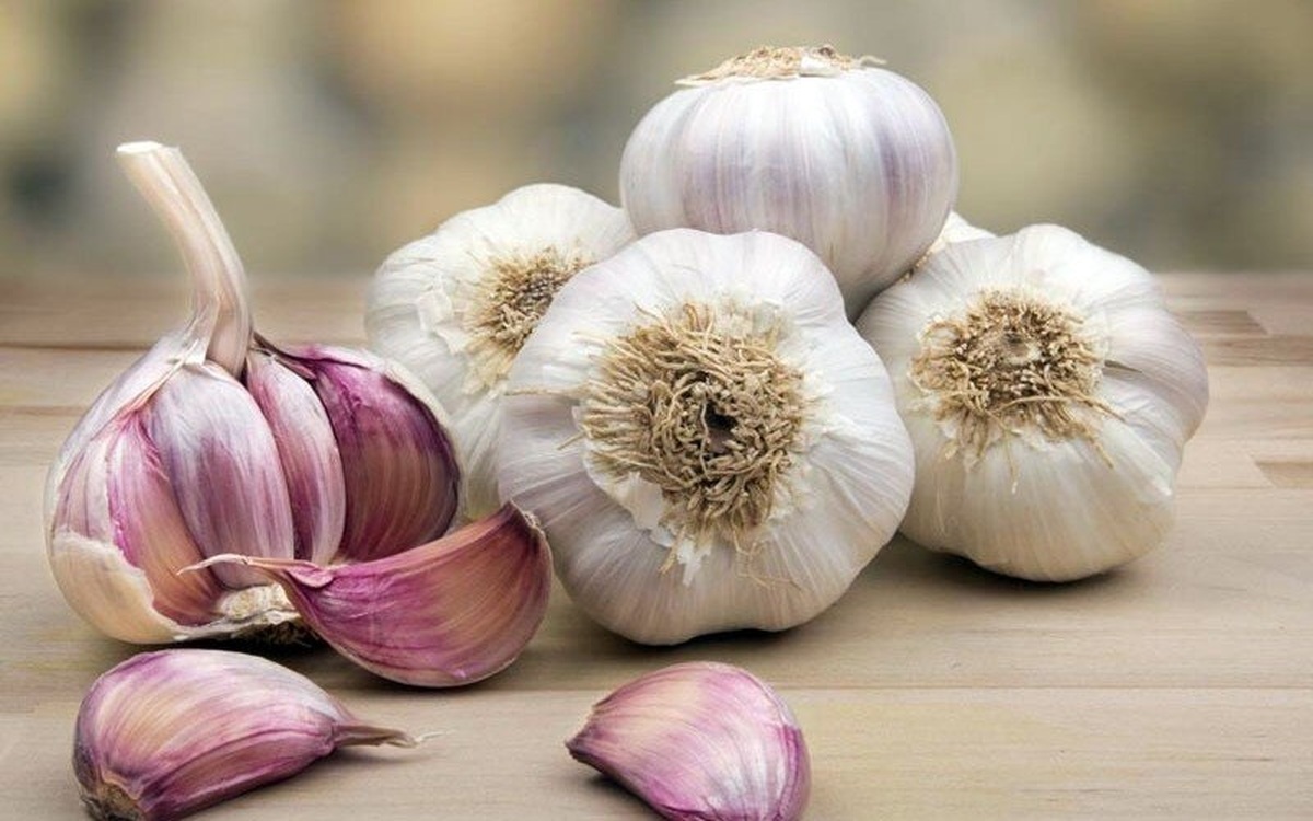 فروش بهترین محصولات باکیفیت 