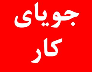 جویای کار در دبی