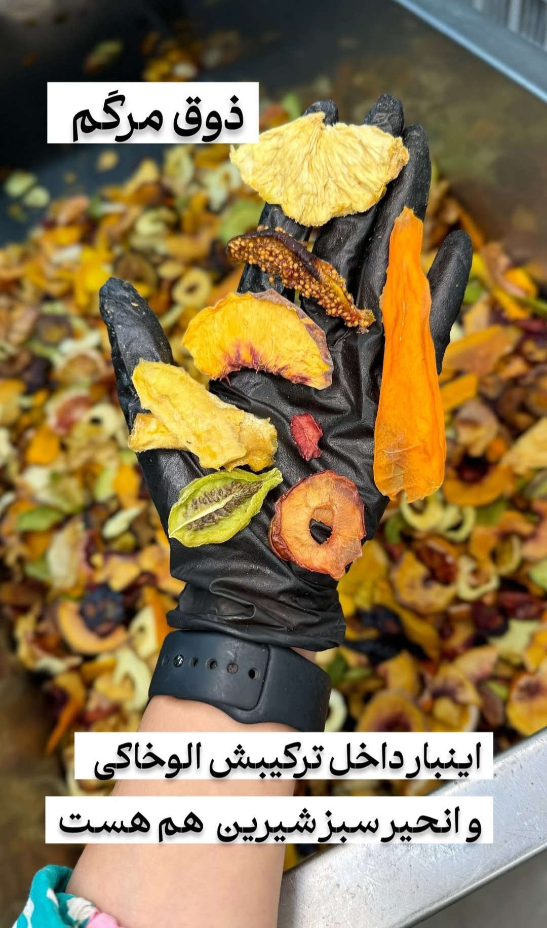 میوه خشک(فواكه مجففة)