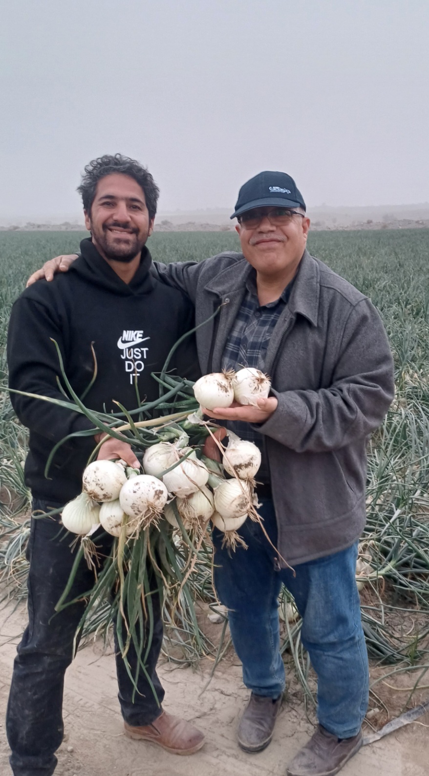 Onion