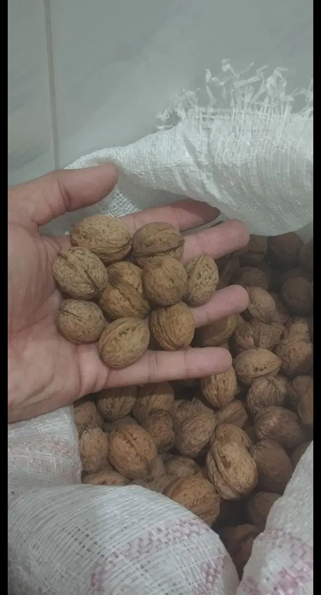 خشکبار و ترشیجات مرغوب 