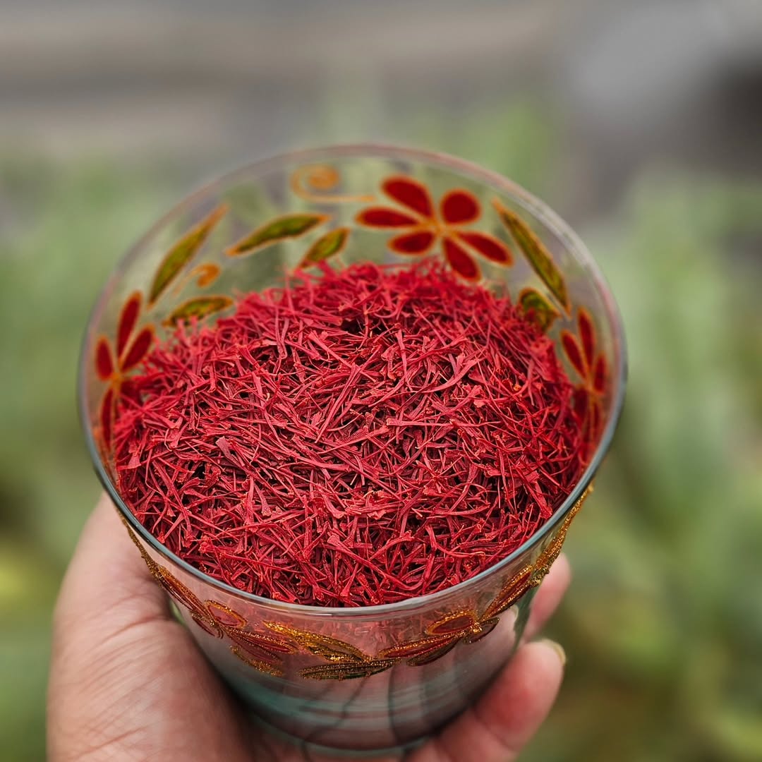 زعفران 