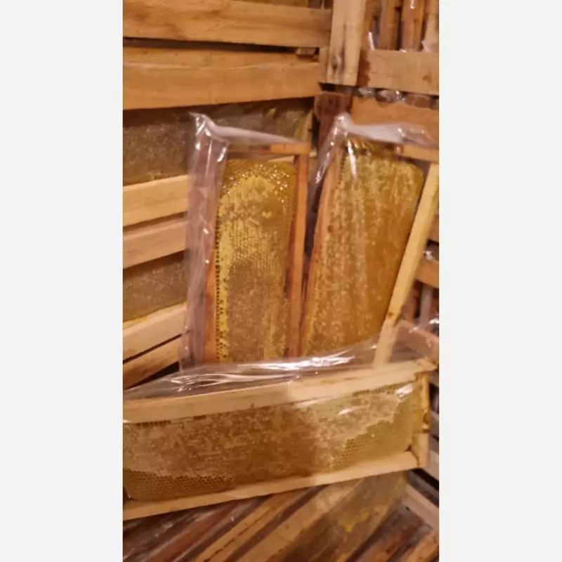 Honey shop 