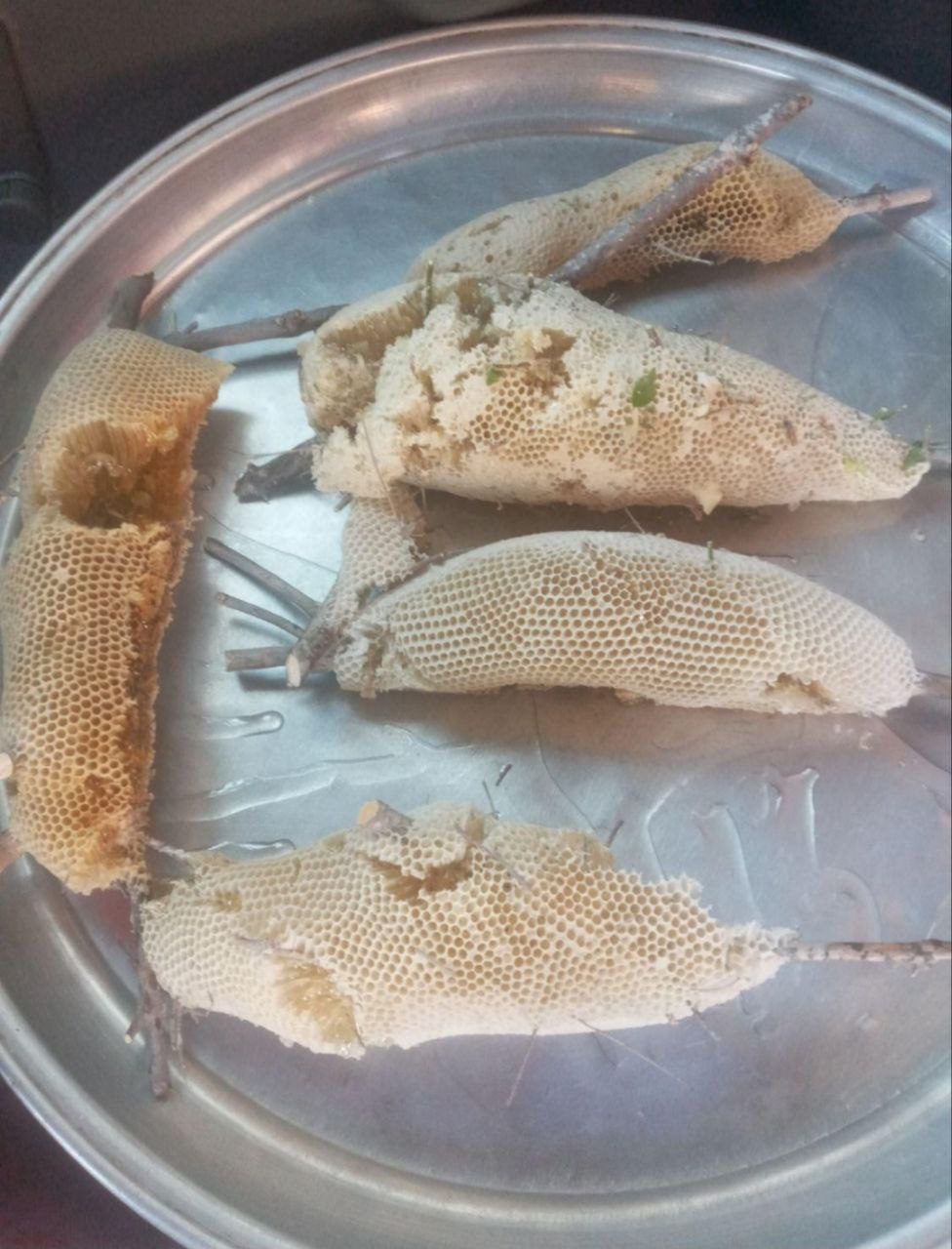 عسل طبیعی بندرلنگه و بندر خمیر