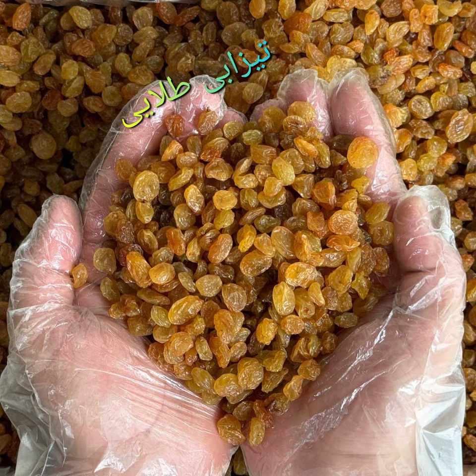 انواع کشمش پلویی وآجیلی