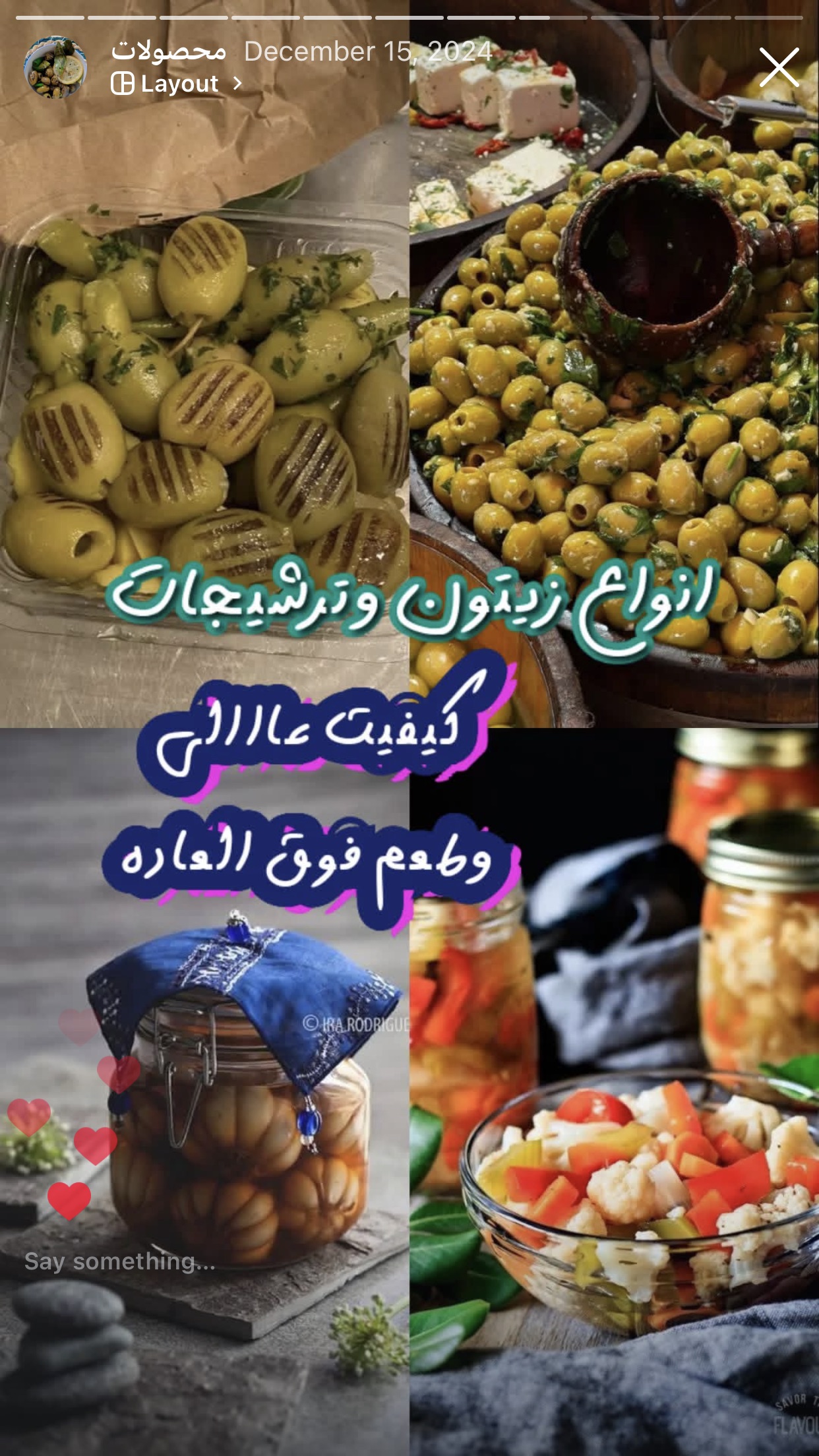 زیتون سبز طارم