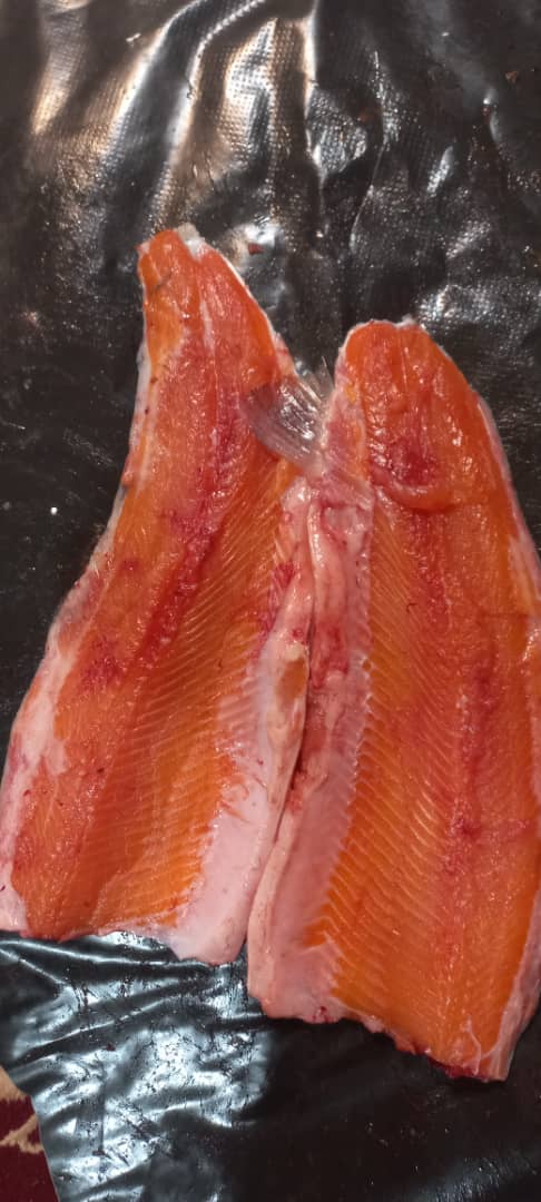 ماهی سالمون تازه
