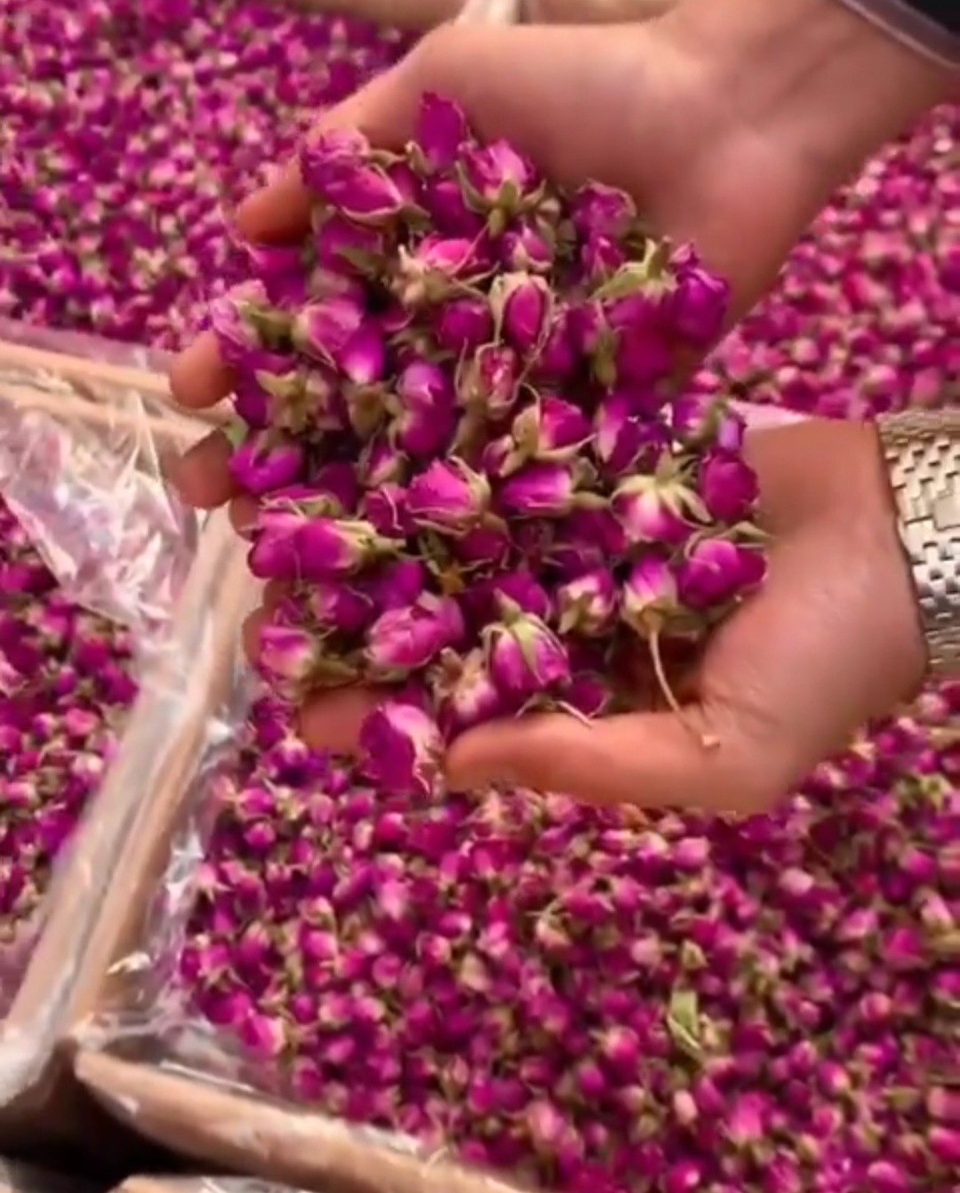 محصولات خاص ایرانی