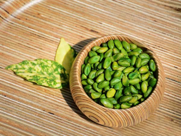 مغز پسته کال درجه یک
