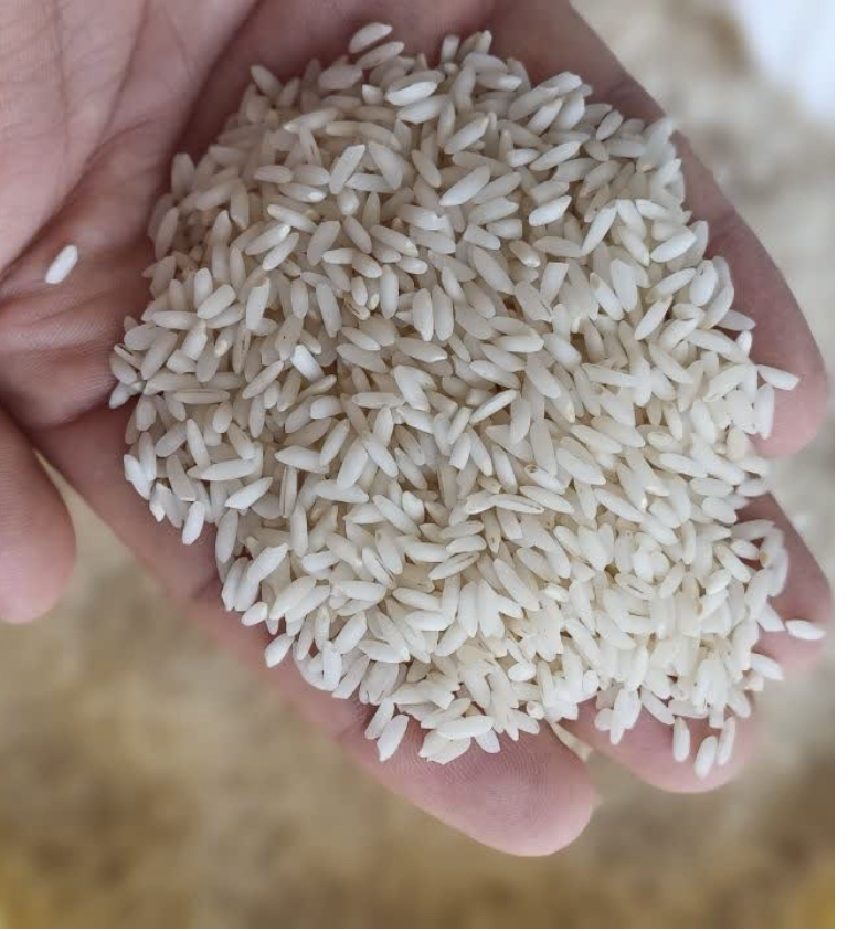 برنج عنبربو درجه ۱
