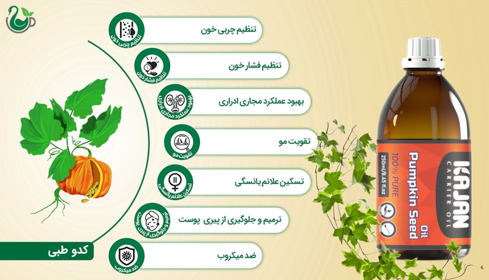 روغن تخم کدو درمان پروستات