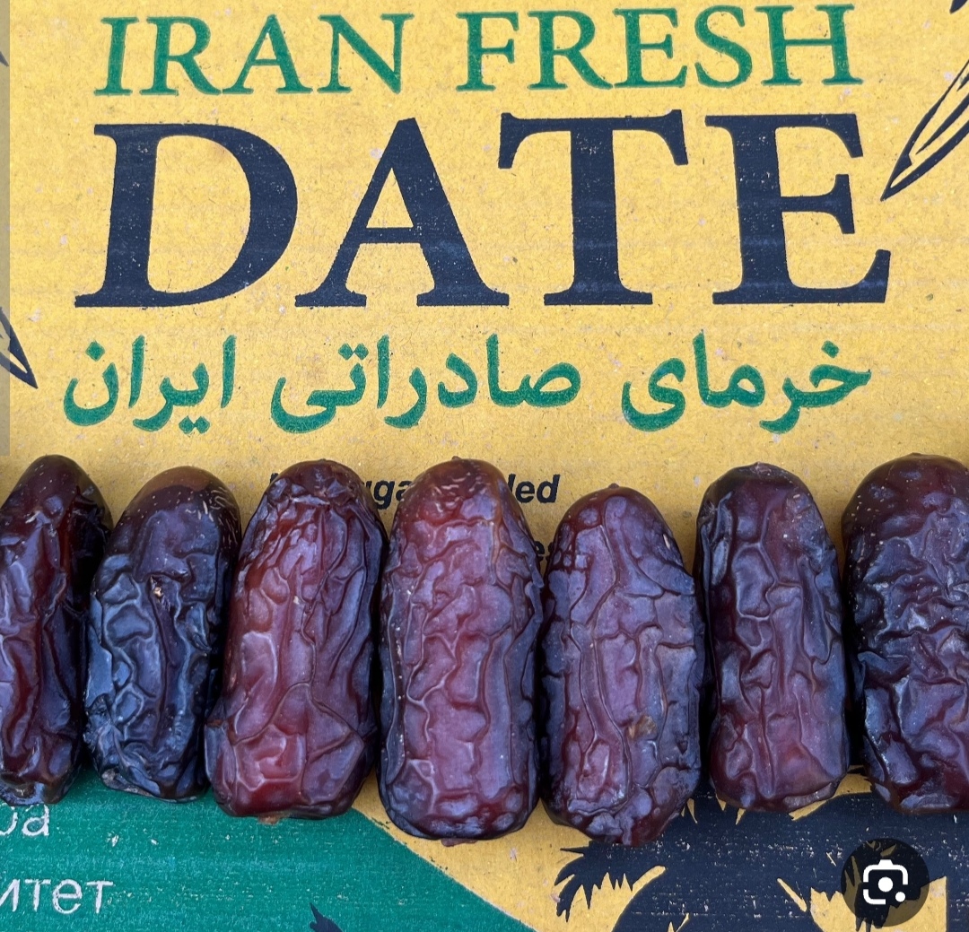 فروش بهترین خرما صادراتی 