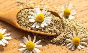 عرقیجات گیاهی 