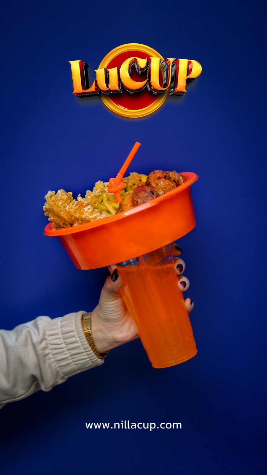 ظرف سوخاری و فست فود