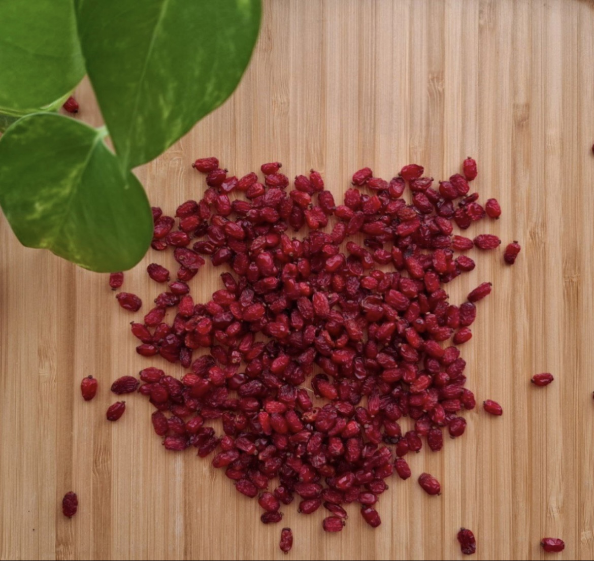 فروش زرشک ،زعفران،نبات…..