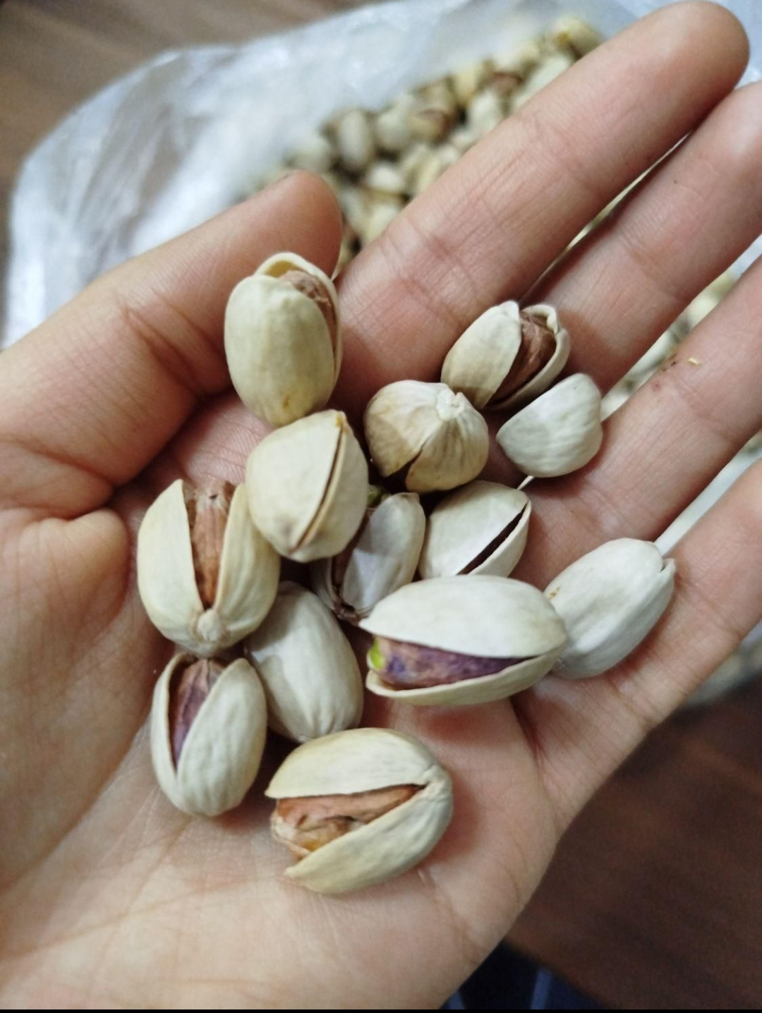 پسته کله قوچی خندان انس 22