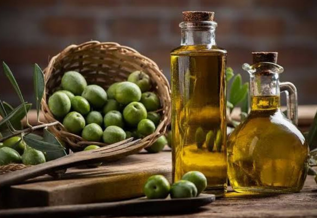 فروش زیتون کنسروی وروغن زیتون ارگانیک 