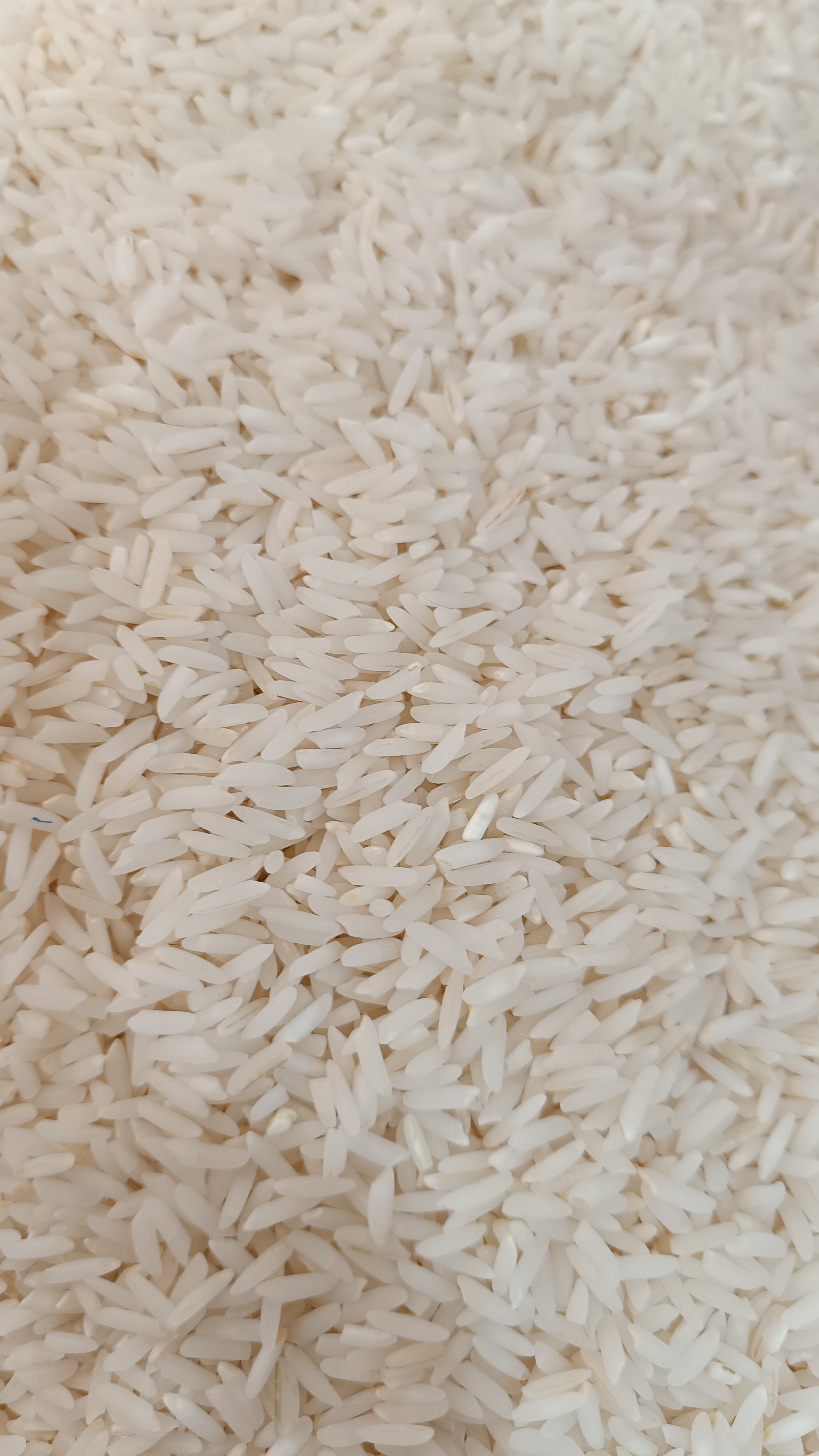 برنج طارم درجه یک 