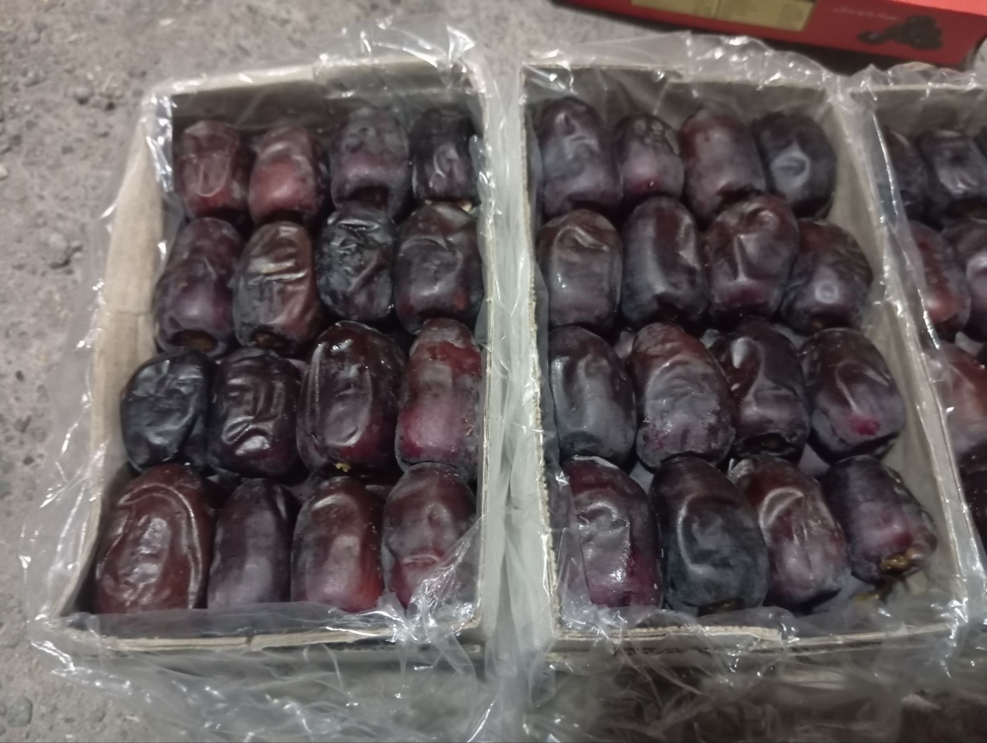 فروش خرما مضافتی بم 