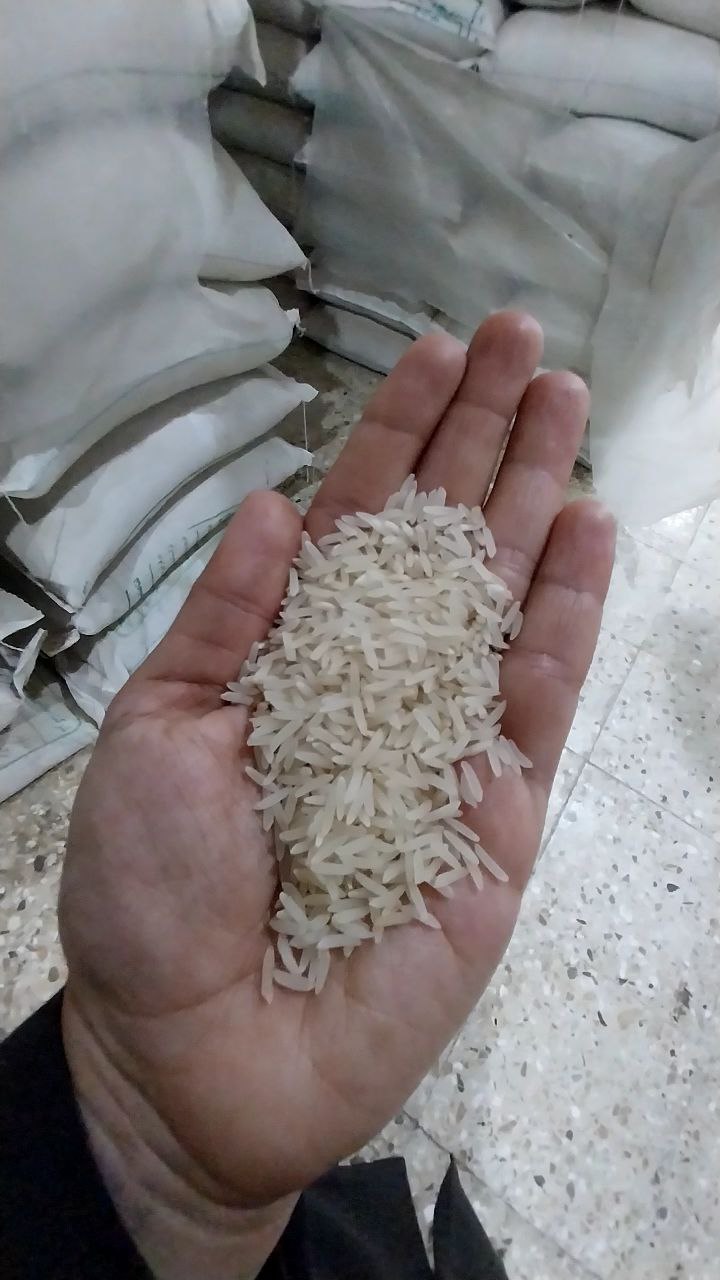 برنج ایرانی