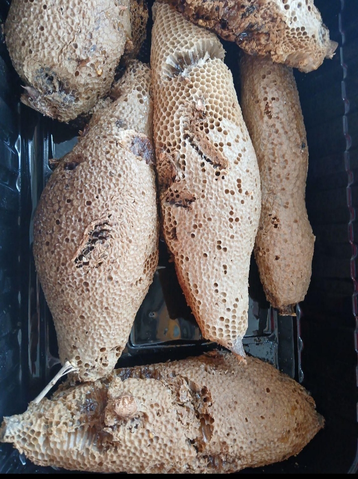 عسل کوهی پرورشی نیست 100%خالص 