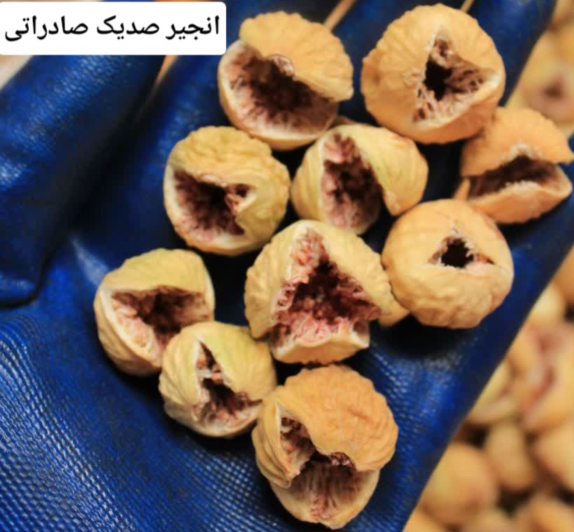 انجیر استهبان