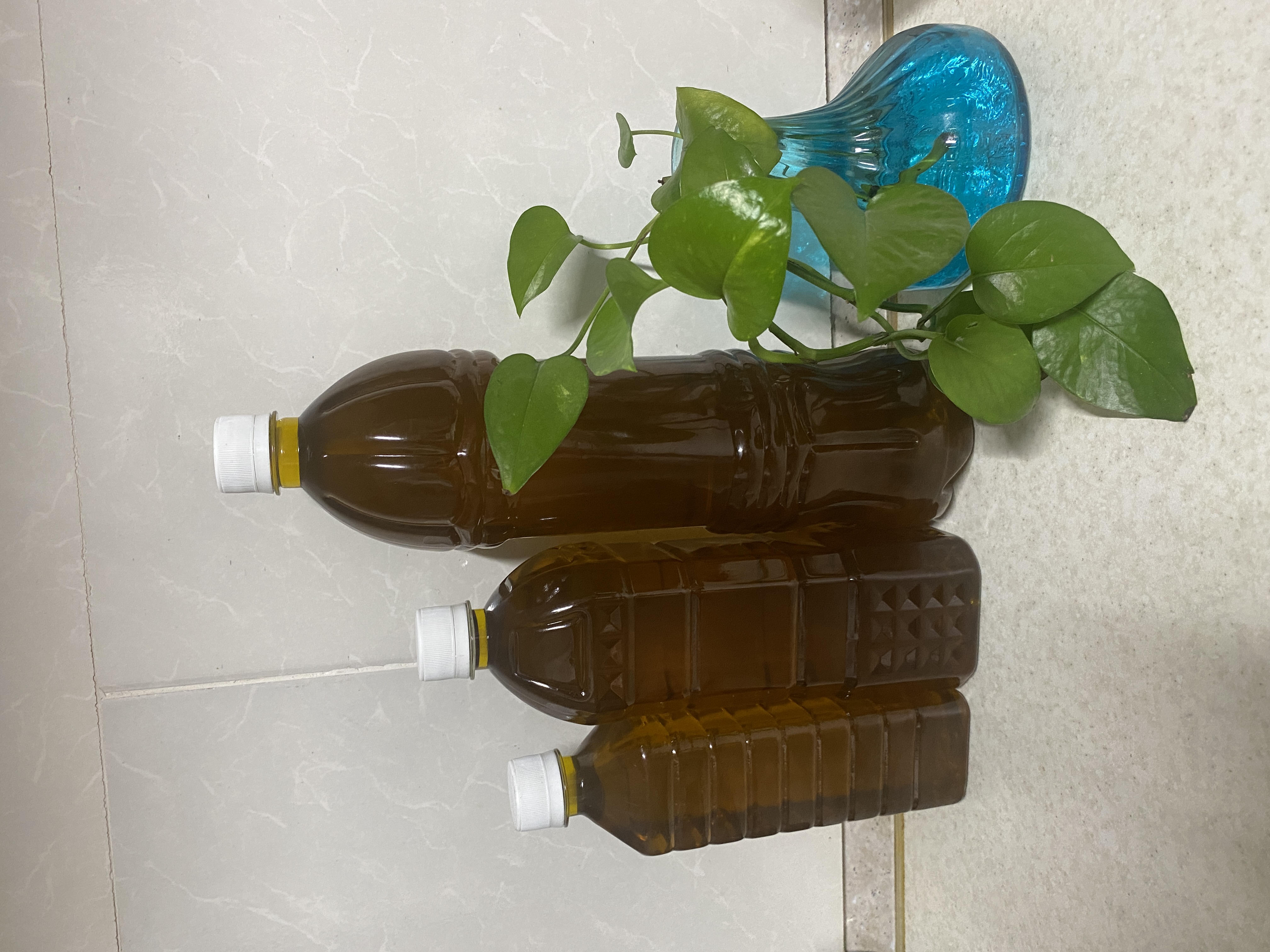 زیتون روغن ارگانیک