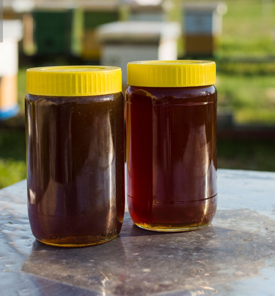 عسل گون خالص_طعمی از طبیعت