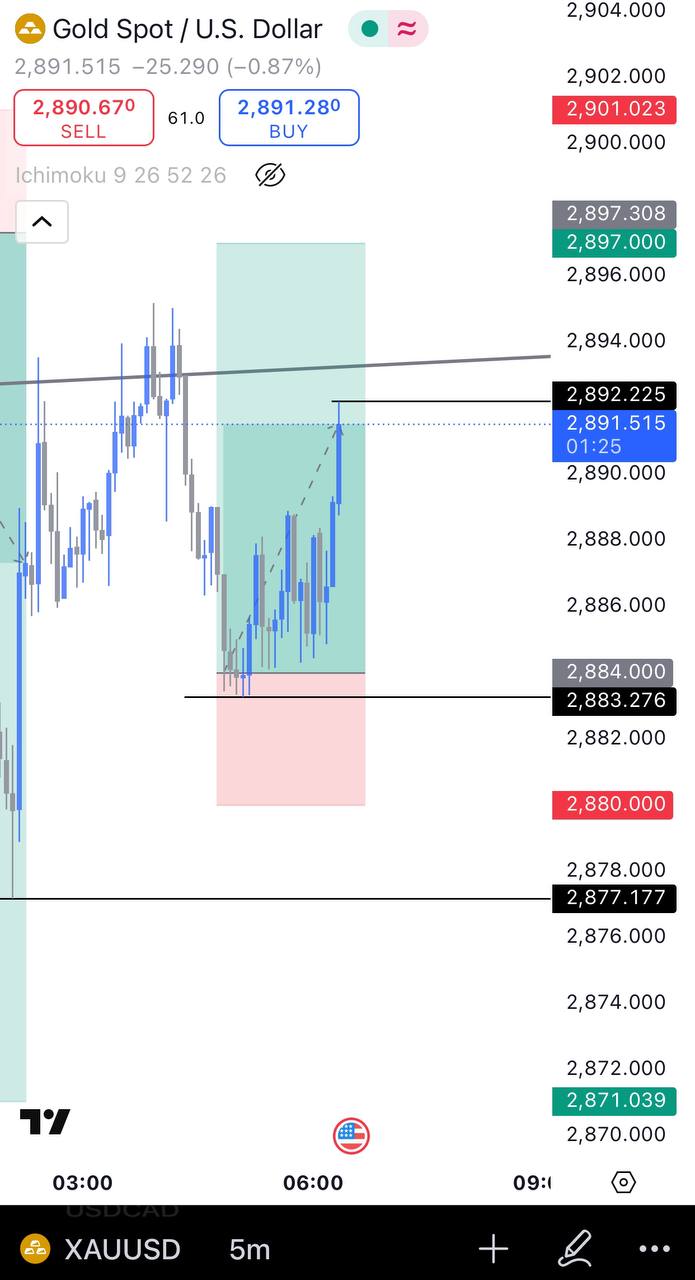 Forex trading 