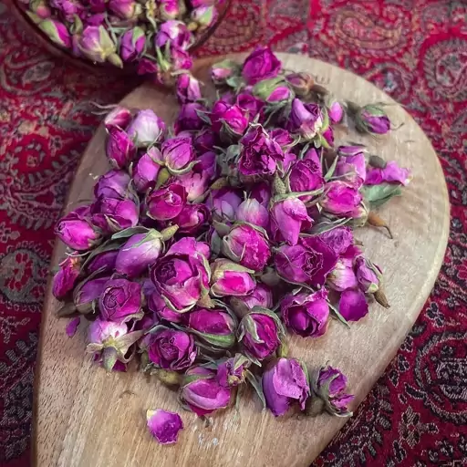 غنچه گل محمدی