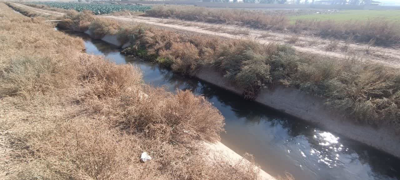 زمین کشاورزی 