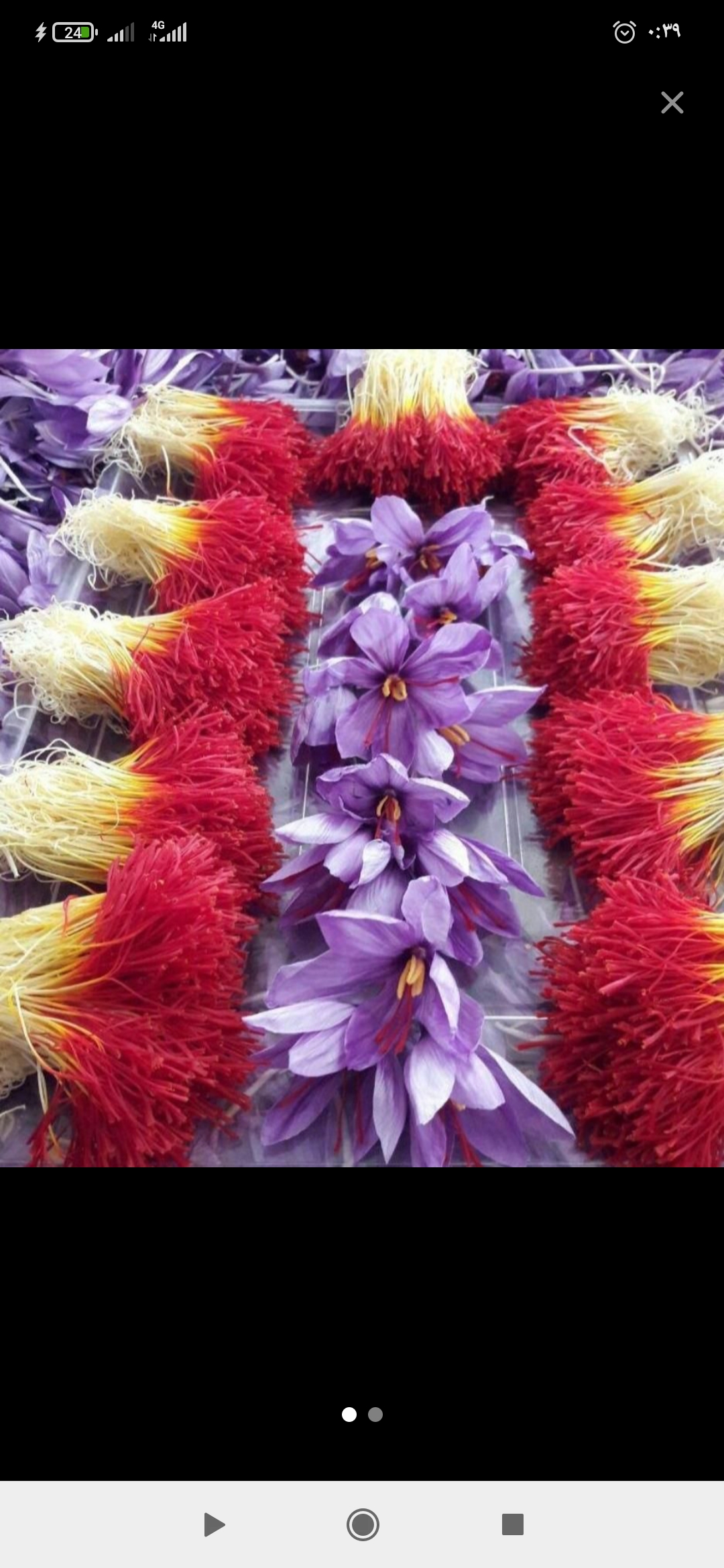 زعفران سوپرنگین ایران 