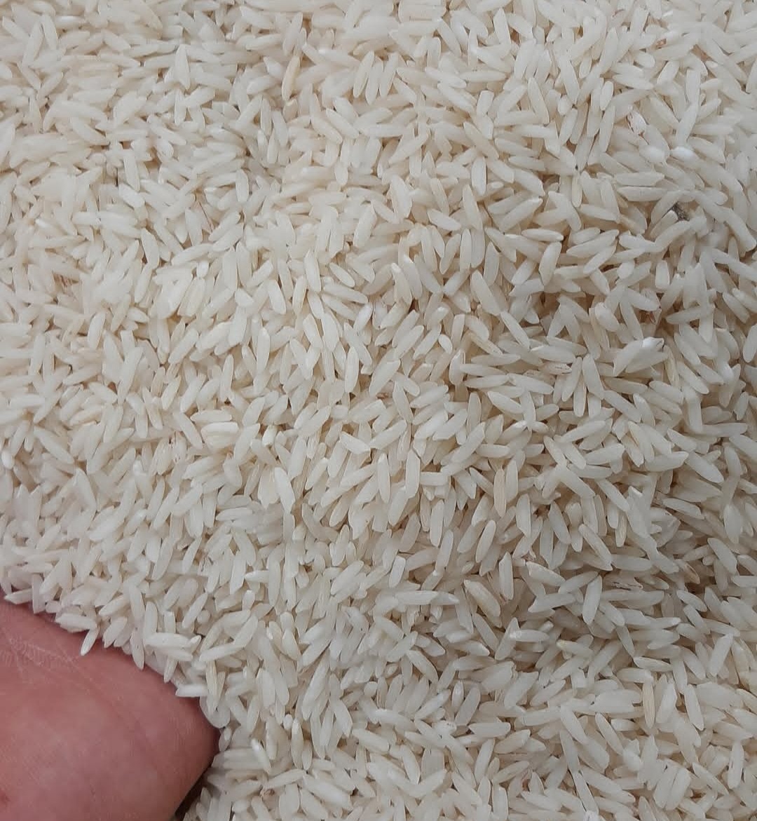 برنج هاشمی اصل ایران