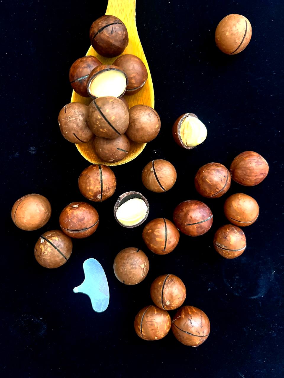 پخش آجیل و خشکبار