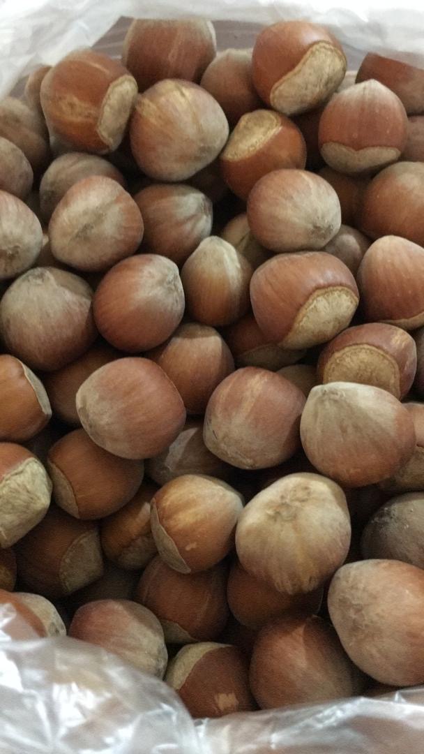 خشکبار گردو- فندوق -توت -برگه 