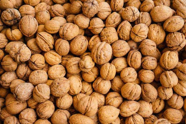 فروش گردو وعسل طبيعی 