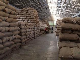 برنج درجه یک مازندران پایتخت برنج ایران