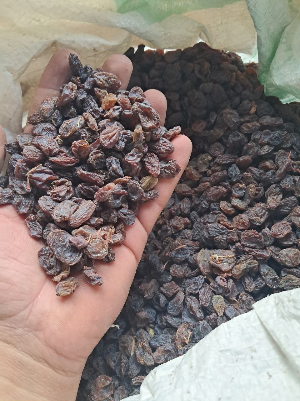 کشمش