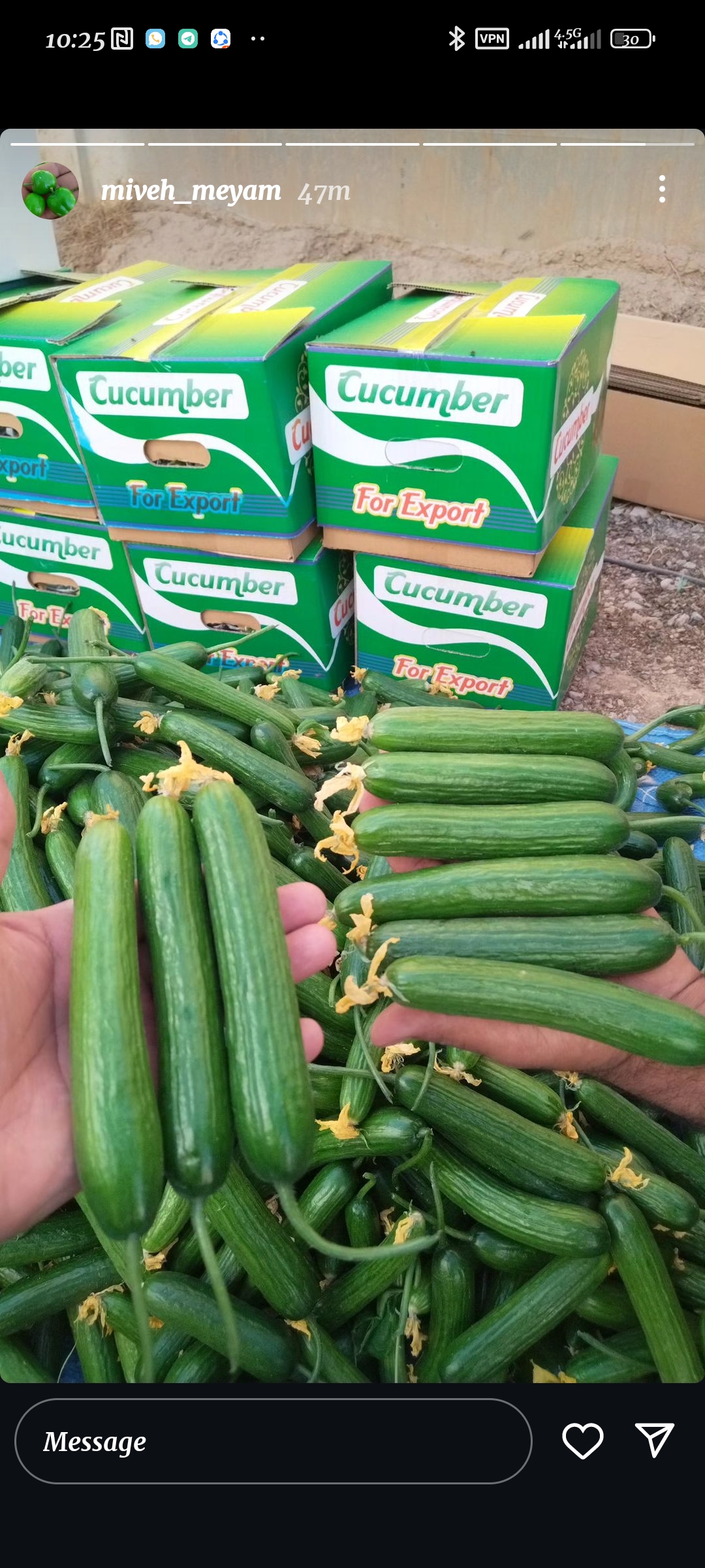 فروش محصولات گلخانه ای لوکس