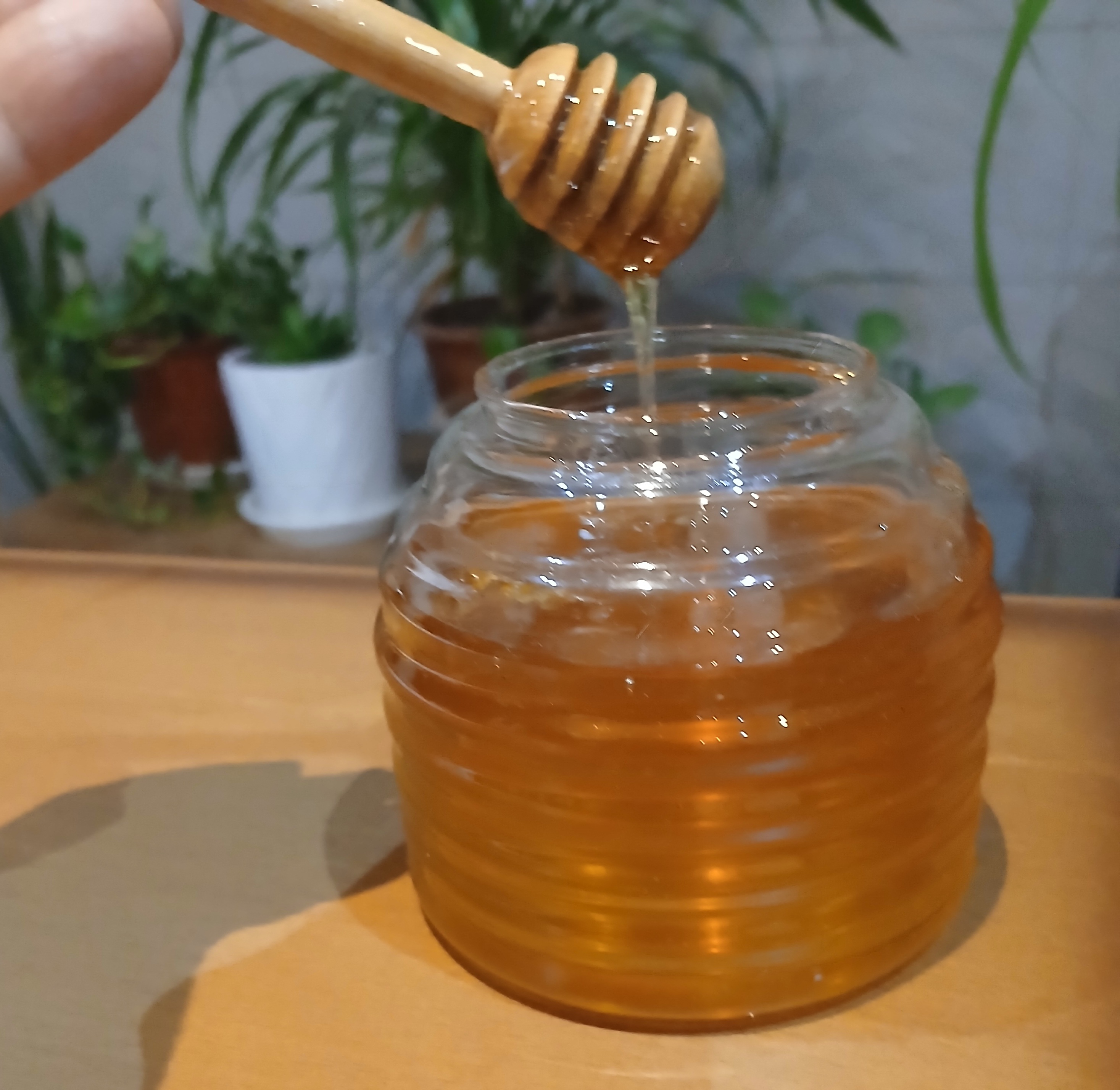 عسل آیدین اردبیل سرعین