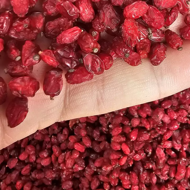 زرشک پفکی اعلا