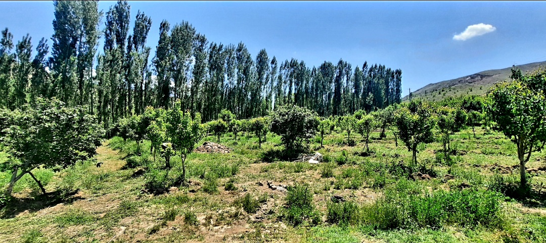 فروش زمین باغ ویلایی
