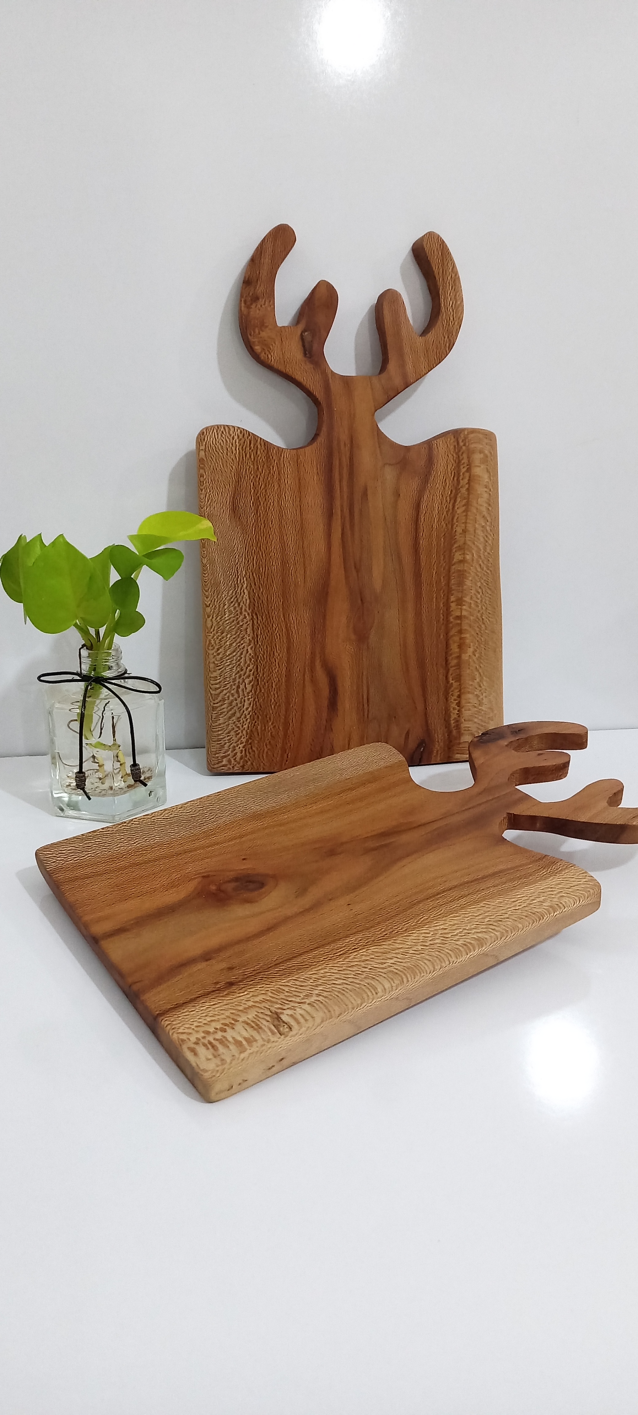 تخته سرو شاخ گوزنی 