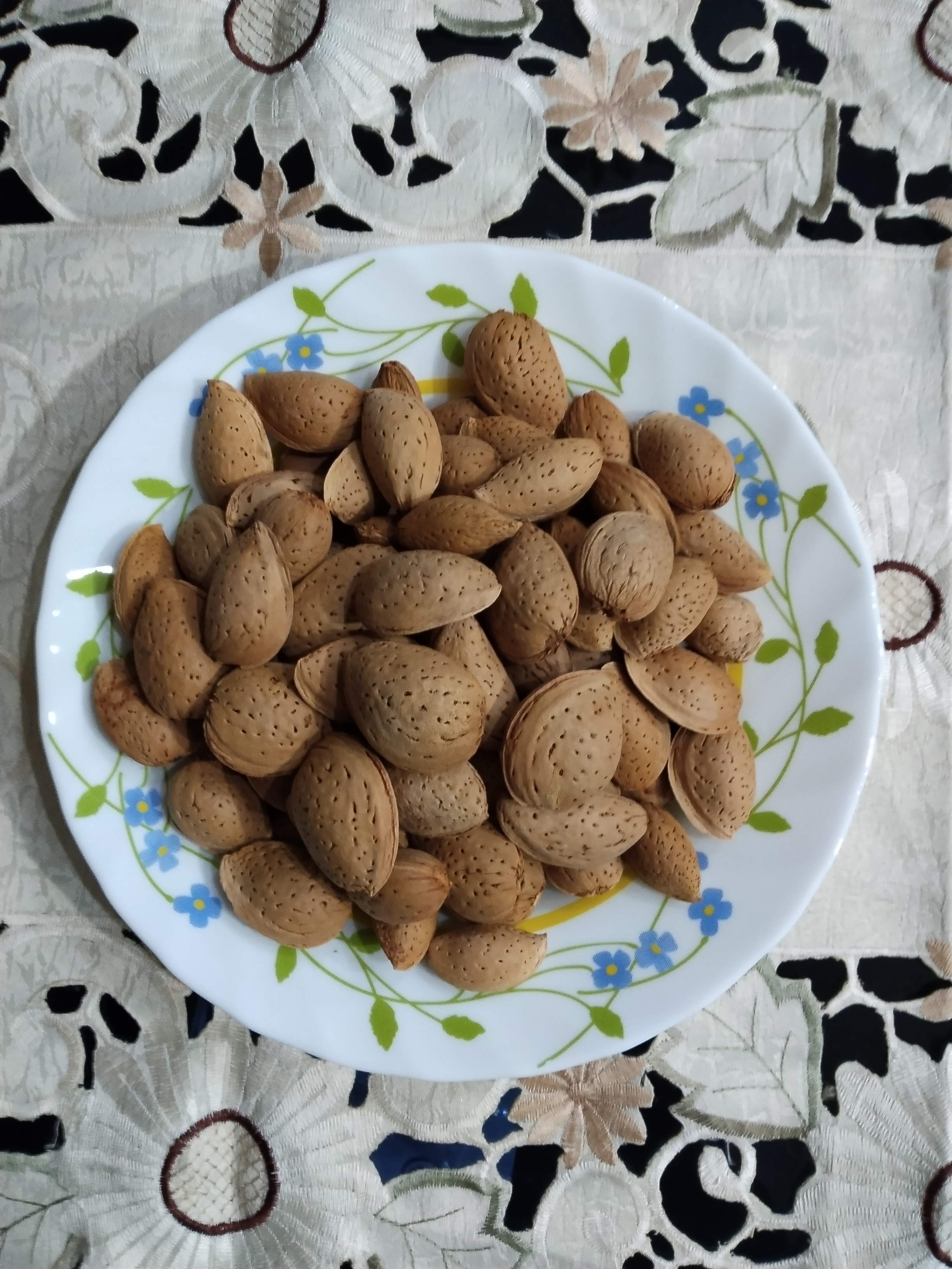 فروش گردوی اعلا 