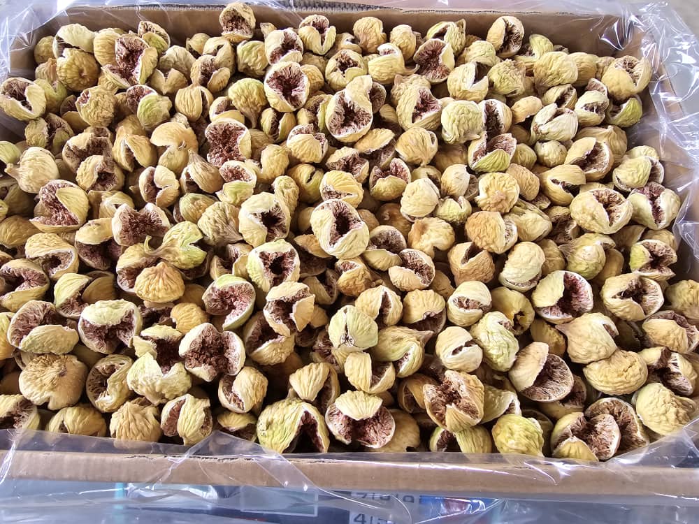 انجیر