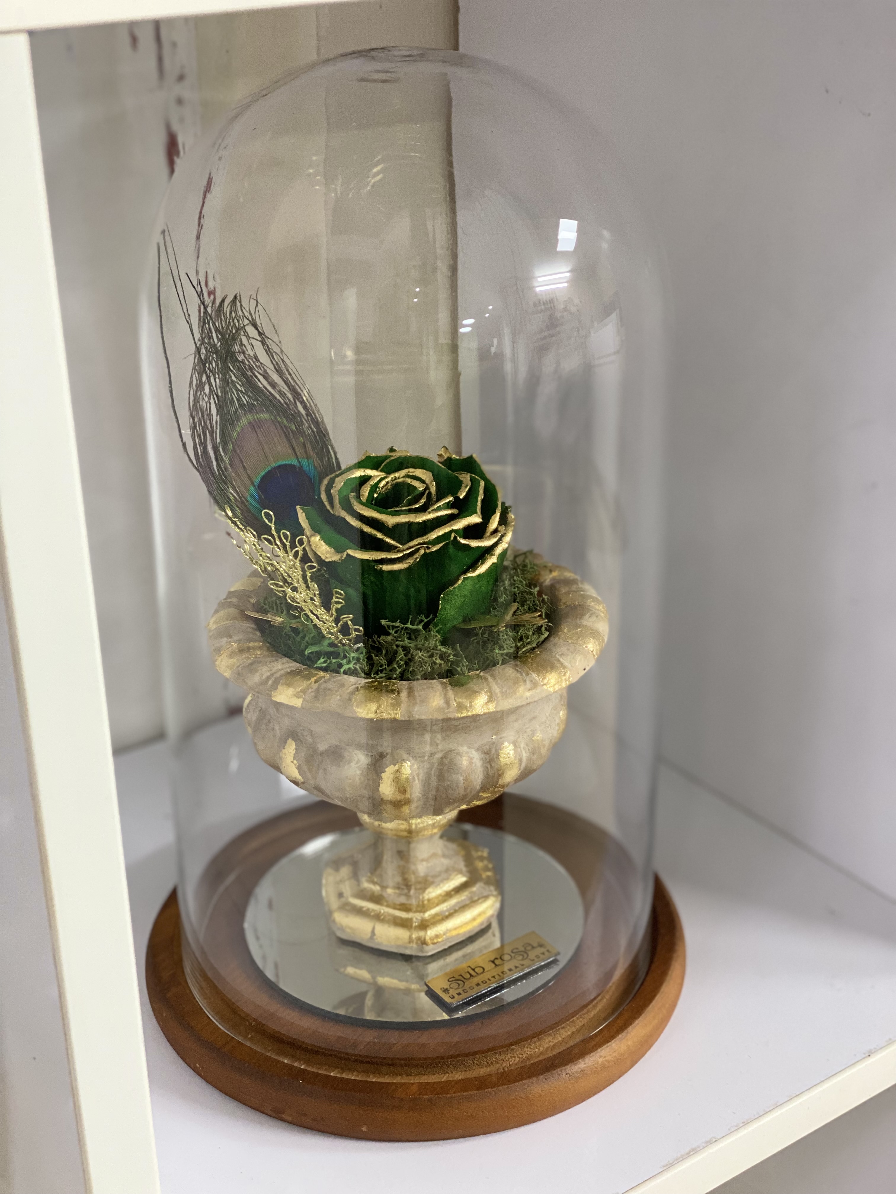 گل رز جاودان ساقه دار با لبه طلا۲۴ عیار