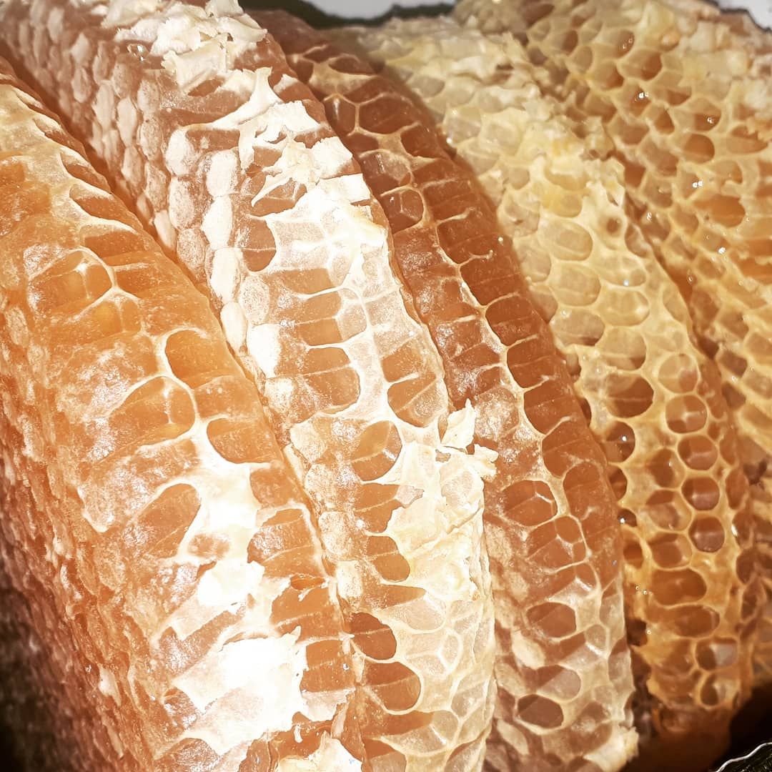 عسل باموم طبیعی